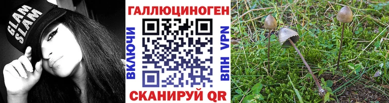 Галлюциногенные грибы мухоморы  закладки  Можга 